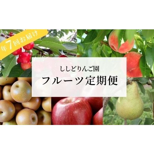 ふるさと納税 福島県 福島市 No.2247[先行予約]ししどりんご園 フルーツ7回定期便ミニコース[2024年発送]