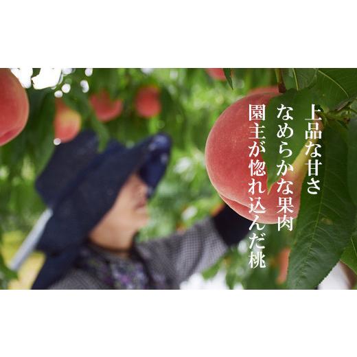 ふるさと納税 もも 福島県 福島市 No.2235ヤマ考紺野果樹園 もも ゆうぞら 約2kg 2026年発送 先行予約の画像