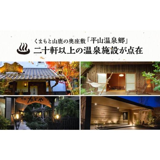 ふるさと納税 宿泊券 温泉 熊本県 山鹿市 平山温泉 観光協会 ふるさと応援寄附 感謝券 1,000円相当×3枚 一般社団法人 平山温泉観光協会 チケット 宿泊 食事 …_3