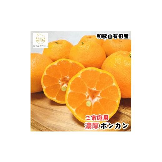 ふるさと納税 みかん・柑橘類 和歌山県 印南町 [先行予約]極甘 柑橘 有田育ちの 濃厚 ポンカン(家庭用)3kg[MS44]