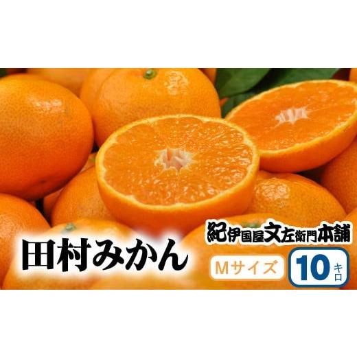 ふるさと納税 果物類 みかん 和歌山県 北山村 田村みかん 特選ギフト品 10kg Mサイズ 赤秀／紀州和歌山有田郡湯浅町田村地区産 2026年11月下旬〜2027年1月中旬… | 