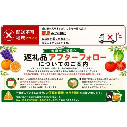 ふるさと納税 果物類 みかん 和歌山県 北山村 田村みかん 特選ギフト品 10kg Mサイズ 赤秀／紀州和歌山有田郡湯浅町田村地区産 2026年11月下旬〜2027年1月中旬… |  | 06