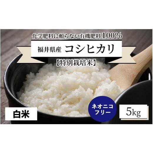 ふるさと納税 福井県 坂井市 [先行予約][令和6年産・新米][特別栽培米]福井県産 コシヒカリ 5kg 〜化学肥料にたよらない 有機肥料100%〜 ネオニコフリー…