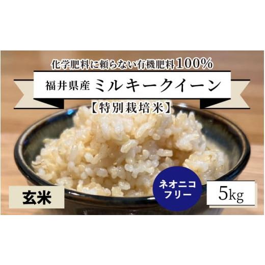 ふるさと納税 米 ミルキークイーン 福井県 坂井市 先行予約 令和8年産・新米 特別栽培米 福井県産 ミルキークイーン 5kg 〜化学肥料にたよらない 有機肥料100…