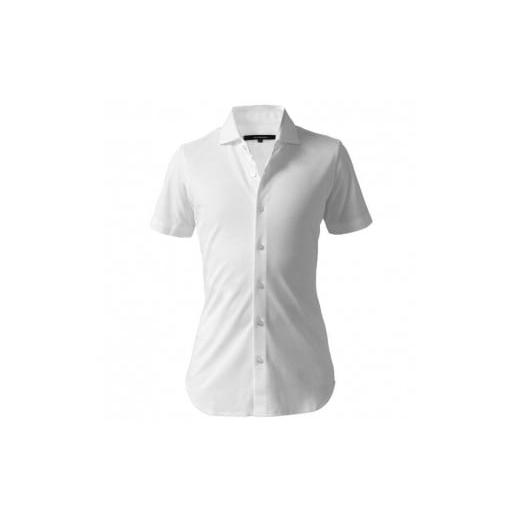 ふるさと納税 服 男 和歌山県 和歌山市 DJS-004 decollouomo メンズドレスシャツ半袖(生地/コンコルド)ピュアホワイト/Lサイズ ピュアホワイト/Lサイズ