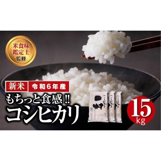 ふるさと納税 福島県 田村市 [ 令和5年産 ] 田村産 コシヒカリ 15kg ( 5kg × 3袋 ) 贅沢 のし対応 1週間以内発送 贈答 ギフト プレゼント 美味しい 米 kom…