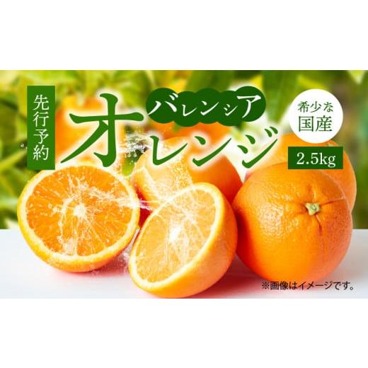 ふるさと納税 和歌山県 湯浅町 G7078_[先行予約]希少な 国産 バレンシアオレンジ 2.5kg 秀品