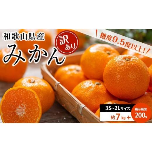 ふるさと納税 果物類 みかん 和歌山県 印南町 和歌山県産 糖度 9.5度