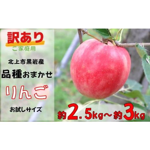 ふるさと納税 りんご 岩手県 北上市 訳あり りんご 約 2.5kg 〜約 3kg ( 品種おまかせ )季節のりんご 旬のりんご リンゴ お試し 家庭用 品種 おまかせ サン…