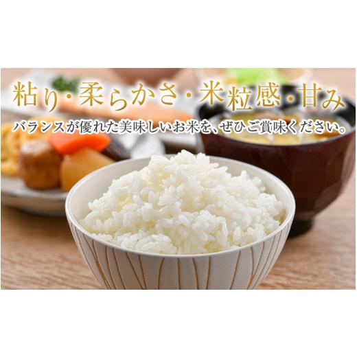 ふるさと納税 米 福井県 あわら市  令和7年産 定期便3回 いちほまれ 無洗米 5kg×3回（15kg）／ 福井県産 ブランド米 ご飯 白米 新鮮 aw064-e002の画像