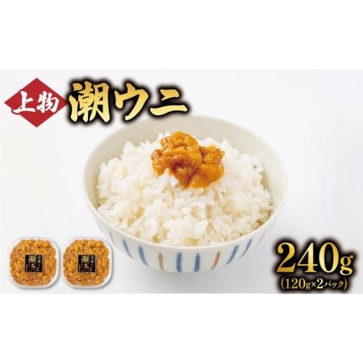 ふるさと納税 ウニ 岩手県 大船渡市 上物 潮ウニ 240g (120g×2) 冷凍 ミョウバン不使用 雲丹 寿司 汐うに 塩うに 海鮮 魚貝類 魚介類 キタムラサキウニ 小分…