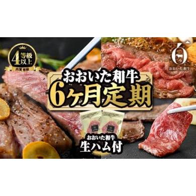 ふるさと納税 牛肉 ロース 大分県 佐伯市 定期便・全6回(連続) 豊後牛・おおいた和牛定期便(総量2.4kg) 牛肉 国産 和牛 焼肉 切り落とし ヒレ ヒレ肉 ステー…