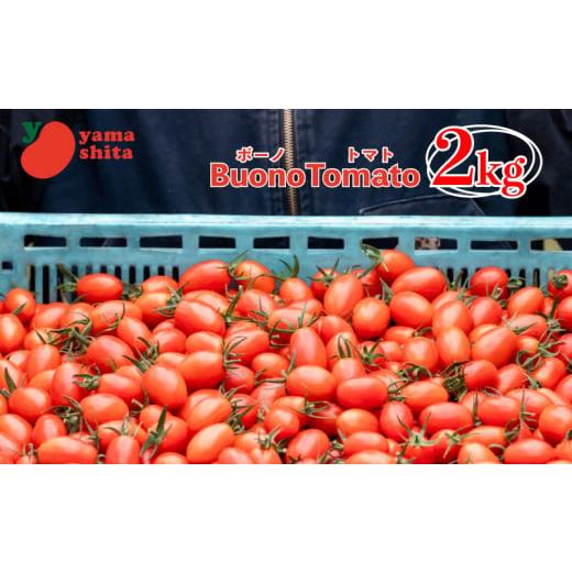 ふるさと納税 トマト ミニトマト 徳島県 阿波市 先行予約 ミニトマト アイコ 約2kg ボーノトマト 野菜 やさい トマト 完熟 高糖度 糖度 果物 スイーツ ジュー…