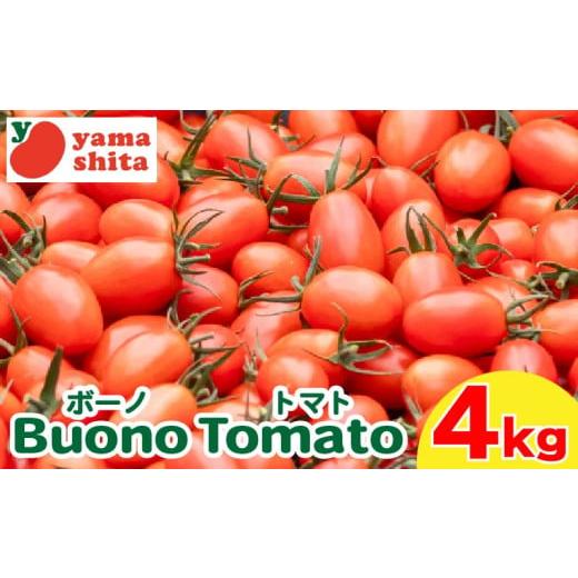 ふるさと納税 トマト ミニトマト 徳島県 阿波市 ミニトマト アイコ 約4kg ボーノトマト 野菜 やさい トマト 完熟 高糖度 糖度 果物 スイーツ ジュース パスタ …