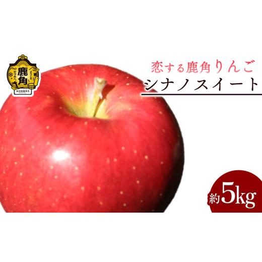 ふるさと納税 りんご 秋田県 鹿角市 [ 先行予約 ] 鹿角 りんご 「シナノスイート」約 5kg 恋する鹿角カンパニー ●2026年10月中旬発送開始 かづの りんご 食…