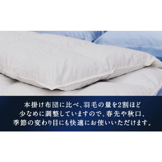 ふるさと納税 タオル・寝具 掛け布団 長崎県 壱岐市  クイーン プレミアム 羽毛布団 合掛け マザーグースダウン95％ ダウンパワー440dp以上 《壱岐市》 富士新…_2