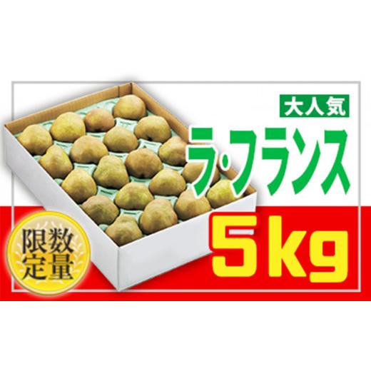 ふるさと納税 梨 山形県 山形市 フルーツ王国山形 家庭用 ラ・フランス 5kg FZ26-805