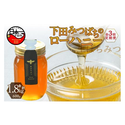 ふるさと納税 加工品等 はちみつ 静岡県 下田市 蜂蜜 ローハニー 600g 1本 3回 定期便 隔月 合計1.8kg はちみつ 国産 非加熱 百花蜜 生はちみつ 純粋 ハチミツ…の画像