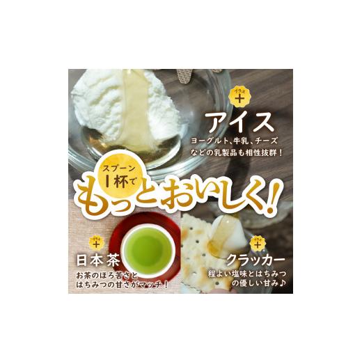 ふるさと納税 加工品等 はちみつ 静岡県 下田市 蜂蜜 ローハニー 600g 1本 3回 定期便 隔月 合計1.8kg はちみつ 国産 非加熱 百花蜜 生はちみつ 純粋 ハチミツ…の画像