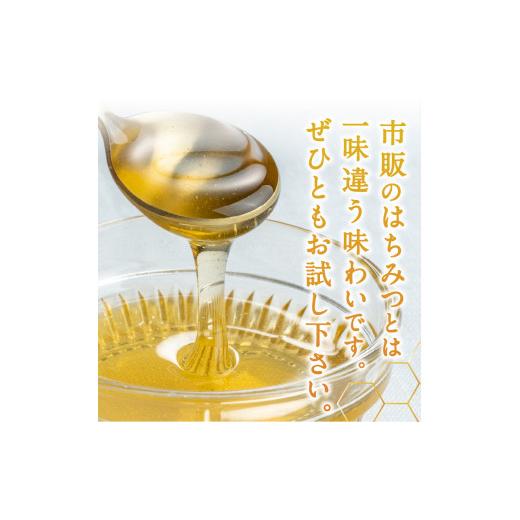ふるさと納税 加工品等 はちみつ 静岡県 下田市 蜂蜜 ローハニー 600g 1本 3回 定期便 隔月 合計1.8kg はちみつ 国産 非加熱 百花蜜 生はちみつ 純粋 ハチミツ…の画像