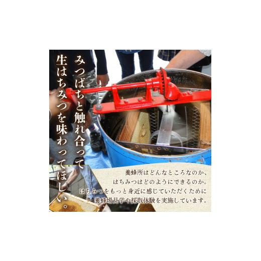 ふるさと納税 加工品等 はちみつ 静岡県 下田市 蜂蜜 ローハニー 600g 1本 3回 定期便 隔月 合計1.8kg はちみつ 国産 非加熱 百花蜜 生はちみつ 純粋 ハチミツ…の画像