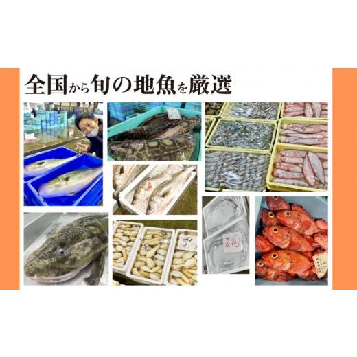 ふるさと納税 旬の鮮魚等 山口県 下関市 定期便 9ヶ月 サカナDIY 2人前 2種×9ヶ月 魚料理キット ( 鮮魚 海鮮 魚介 海の幸 冷凍 真空 小分け セット 定期便 お…_2