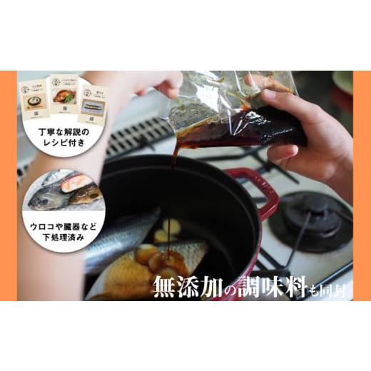 ふるさと納税 旬の鮮魚等 山口県 下関市 定期便 9ヶ月 サカナDIY 2人前 2種×9ヶ月 魚料理キット ( 鮮魚 海鮮 魚介 海の幸 冷凍 真空 小分け セット 定期便 お…_4