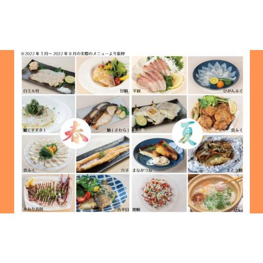 ふるさと納税 旬の鮮魚等 山口県 下関市 定期便 9ヶ月 サカナDIY 2人前 2種×9ヶ月 魚料理キット ( 鮮魚 海鮮 魚介 海の幸 冷凍 真空 小分け セット 定期便 お…_6
