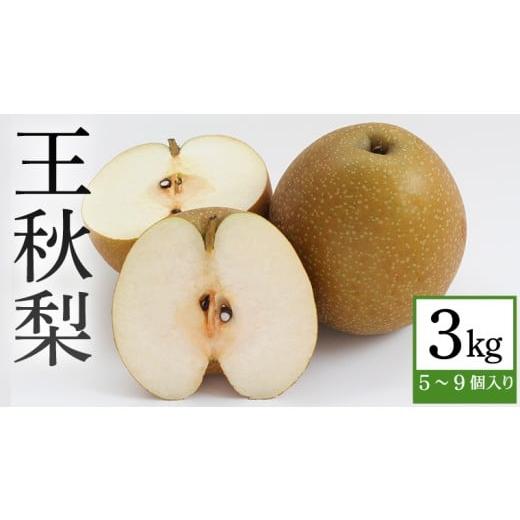 ふるさと納税 梨 茨城県 筑西市 産地直送 王秋 3kg ナシ なし 旬 秋 CZ002ci