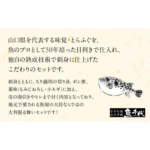ふるさと納税 フグ 山口県 宇部市 ふぐ 国産とらふぐ ふぐ刺し・ふぐ鍋 ご褒美セット 2人前 | ふぐ フグ 河豚 とらふぐ 魚 刺身 ふぐ刺し ふぐ鍋 ふぐちり鍋 …_6