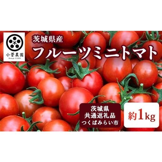 ふるさと納税 トマト ミニトマト 茨城県 守谷市 フルーツミニトマト 約1kg 茨城県共通返礼品 つくばみらい市産 トマト プチトマト ミニトマト フルーツトマト …