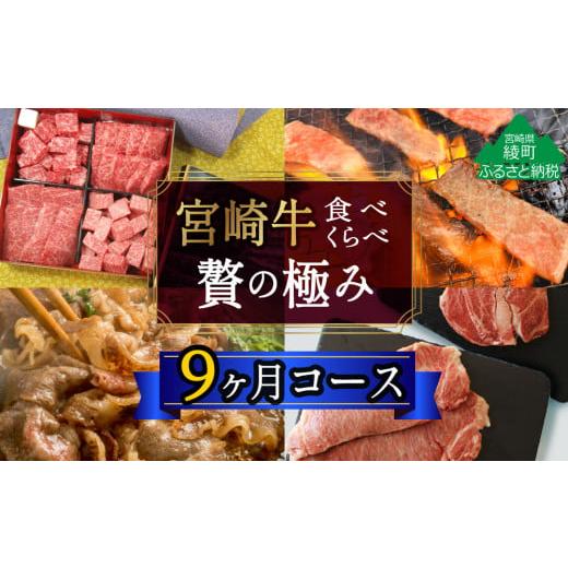 ふるさと納税 宮崎県 綾町 [定期便)宮崎牛食べ比べ贅の極み9か月コース 5.48kg(36-222)