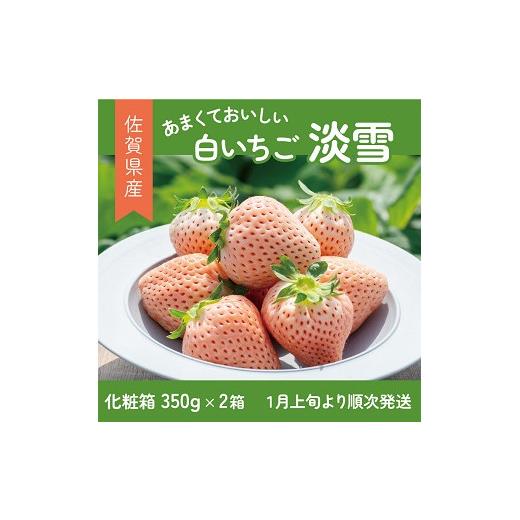 ふるさと納税 いちご 佐賀県 佐賀市 先行受付開始 希少価値 佐賀県産 いちご 淡雪 (化粧箱×2箱) 2027年1月発送開始 フルーツ 果物 旬 苺 白いちご 350g×2P…