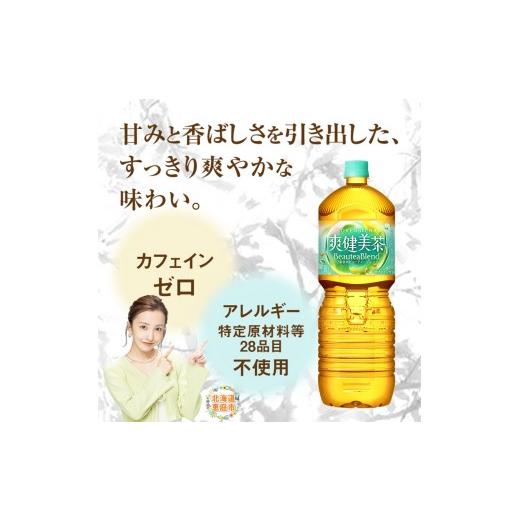 ふるさと納税 お茶類 北海道 恵庭市 『定期便：全4回』爽健美茶2L×6本 | 爽健美茶 お茶 ハトムギ カフェインゼロ ノンカフェイン ブレンド茶 そうけんびちゃ …の画像
