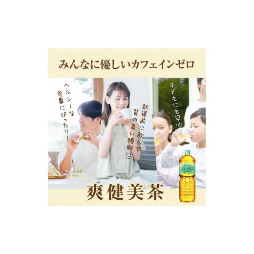 ふるさと納税 お茶類 北海道 恵庭市 『定期便：全4回』爽健美茶2L×6本 | 爽健美茶 お茶 ハトムギ カフェインゼロ ノンカフェイン ブレンド茶 そうけんびちゃ …の画像