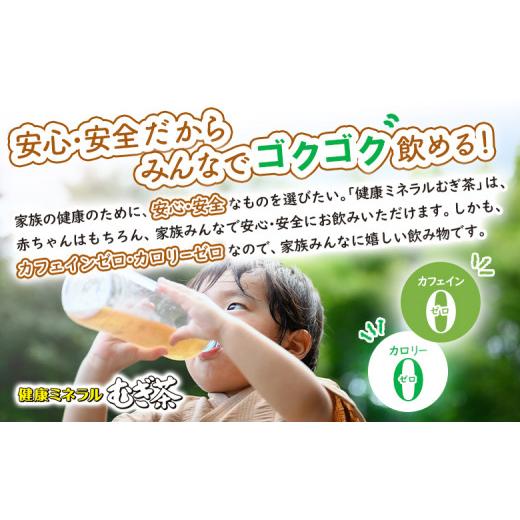 ふるさと納税 お茶類 北海道 恵庭市 『定期便：全5回』健康ミネラルむぎ茶2L×6本 500010の画像