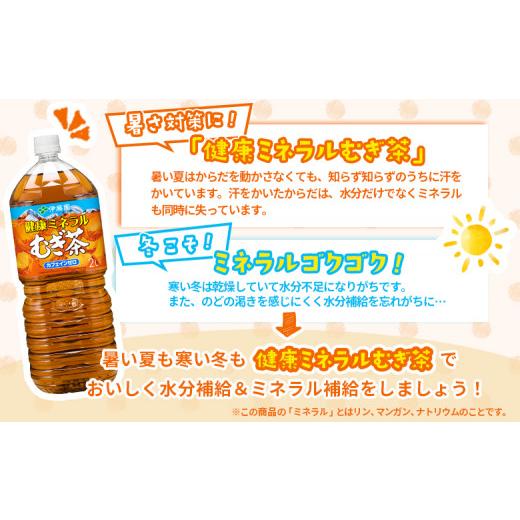 ふるさと納税 お茶類 北海道 恵庭市 『定期便：全5回』健康ミネラルむぎ茶2L×6本 500010の画像