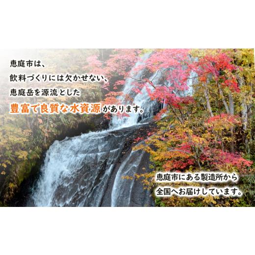 ふるさと納税 お茶類 北海道 恵庭市 『定期便：全5回』健康ミネラルむぎ茶2L×6本 500010の画像