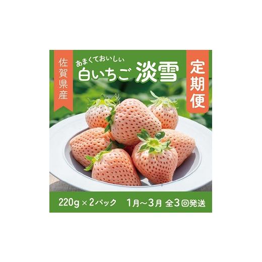 ふるさと納税 いちご 佐賀県 佐賀市 先行受付開始 定期便3回 希少価値 佐賀県産 いちご 淡雪 220g(6玉〜20玉)×2パック 2027年1~3月発送 フルーツ 果物 定期…