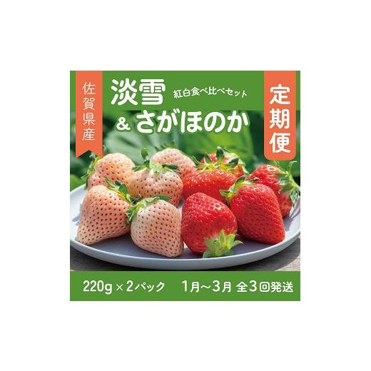 ふるさと納税 いちご 佐賀県 佐賀市 先行受付開始 定期便3回 佐賀県産 紅白いちご 食べ比べ 2027年1~3月発送 淡雪 さがほのか フルーツ 果物 定期便 旬 苺 紅…
