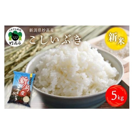 ふるさと納税 米 新潟県 妙高市 2025年12月下旬発送 令和7年産 新潟県妙高産こしいぶき5kg 2025年12月下旬発送