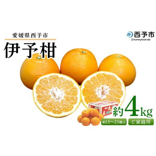ふるさと納税 果物類 みかん 愛媛県 西予市 愛媛県西予市産 伊予柑 ご家庭用 約4kg 約15〜25個入り 訳あり 果物 くだもの フルーツ みかん ミカン オレンジ …