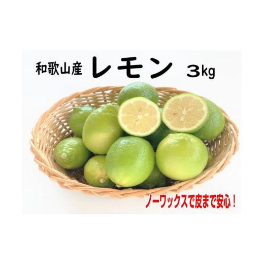 ふるさと納税 みかん・柑橘類 レモン 和歌山県 印南町 和歌山産レモン/グリーンレモン 3kg [国産レモン]