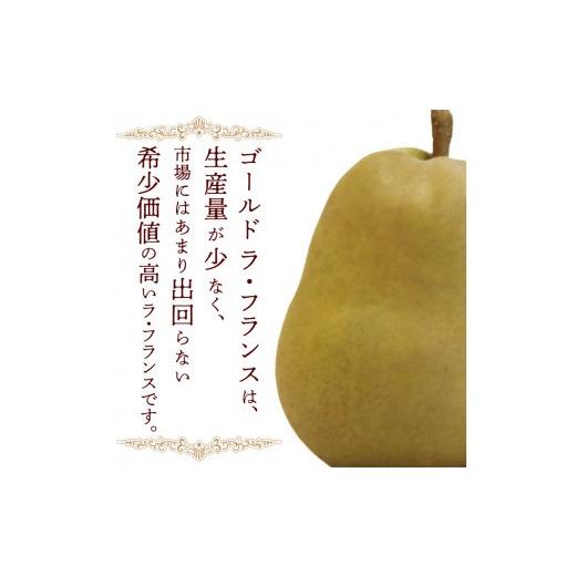 ふるさと納税 梨 山形県 寒河江市 令和8年産 希少な 金系 ゴールド ラ・フランス 3kg（ 8 - 11 玉 ）2Lサイズ以上 サイズおまかせ 山形県産 2026年11月上旬頃…_3