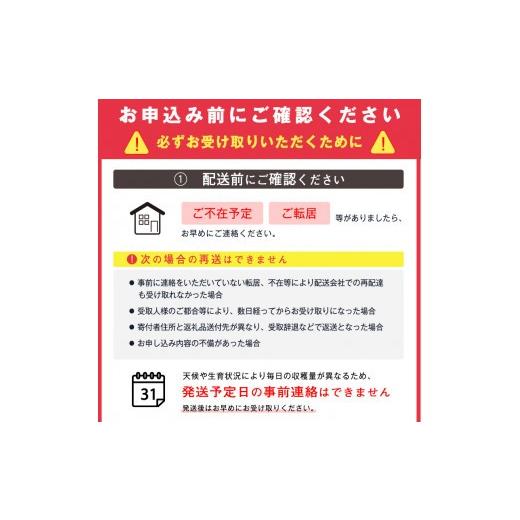 ふるさと納税 梨 山形県 寒河江市 令和8年産 希少な 金系 ゴールド ラ・フランス 3kg（ 8 - 11 玉 ）2Lサイズ以上 サイズおまかせ 山形県産 2026年11月上旬頃…_4