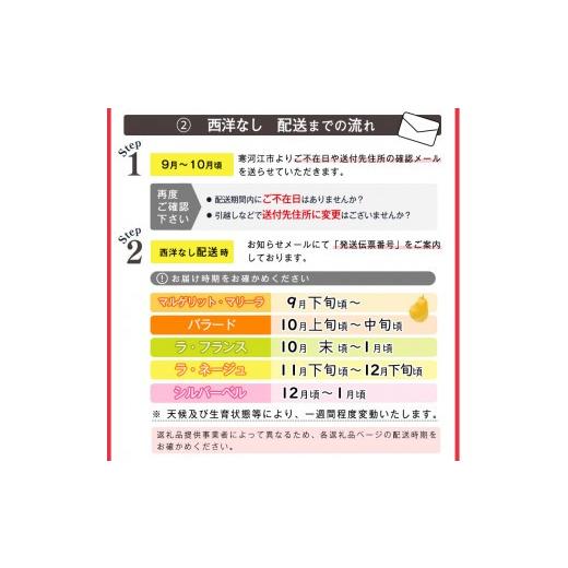 ふるさと納税 梨 山形県 寒河江市 令和8年産 希少な 金系 ゴールド ラ・フランス 3kg（ 8 - 11 玉 ）2Lサイズ以上 サイズおまかせ 山形県産 2026年11月上旬頃…_5