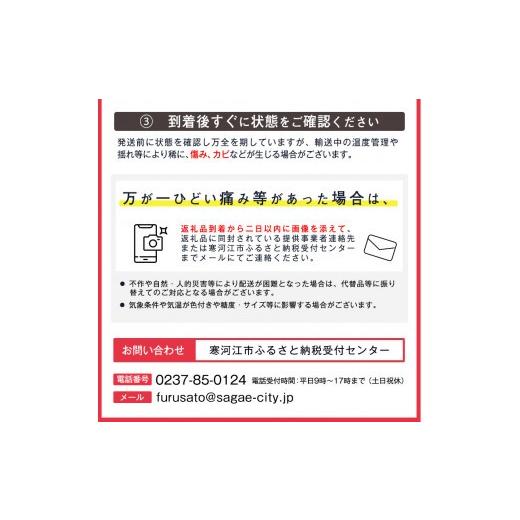 ふるさと納税 梨 山形県 寒河江市 令和8年産 希少な 金系 ゴールド ラ・フランス 3kg（ 8 - 11 玉 ）2Lサイズ以上 サイズおまかせ 山形県産 2026年11月上旬頃…_6