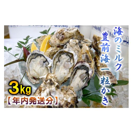 ふるさと納税 牡蠣 生牡蠣 福岡県 行橋市 AG-003 年内発送 海のミルク・豊前海一粒かき(3kg)