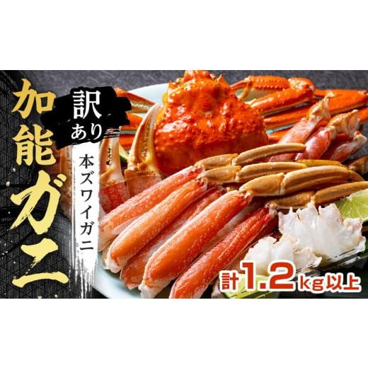 ふるさと納税 カニ ずわいガニ 石川県 金沢市 訳あり 金沢港 直送 ボイル 加能ガニ 2杯セット ズワイガニ ずわい ズワイ蟹 蟹 カニ 冷蔵 人気 おすすめ 期間…
