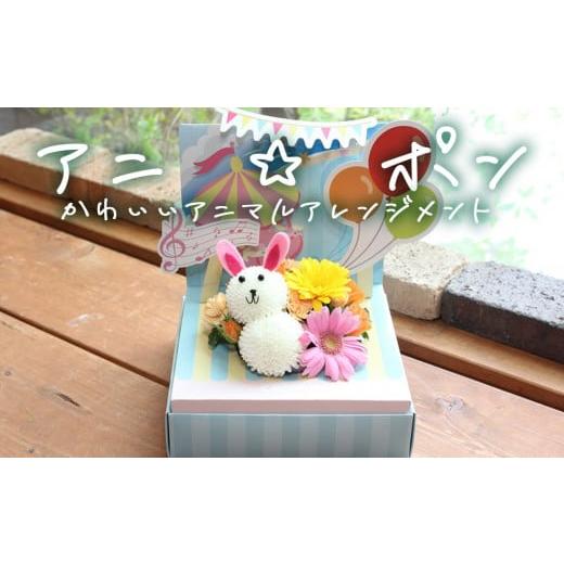 ふるさと納税 雑貨・日用品 花 宮城県 石巻市 アニ ポン うさぎ 花 生花 花束 動物 うさぎ 可愛い ギフト プレゼント うさぎ